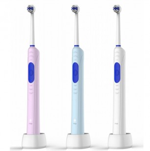 Electric Toothbrush--TB-12